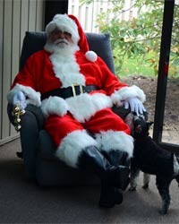 professional santa suit with dog