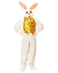 mascot easter bunny costume