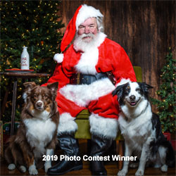 santa claus picture pups 2019