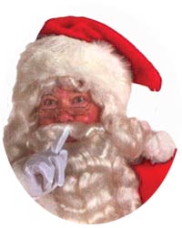 professional replacement santa hat