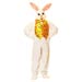 mascot easter bunny costume