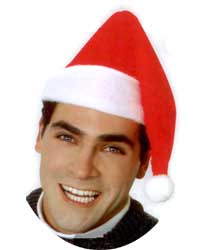 economy santa hats